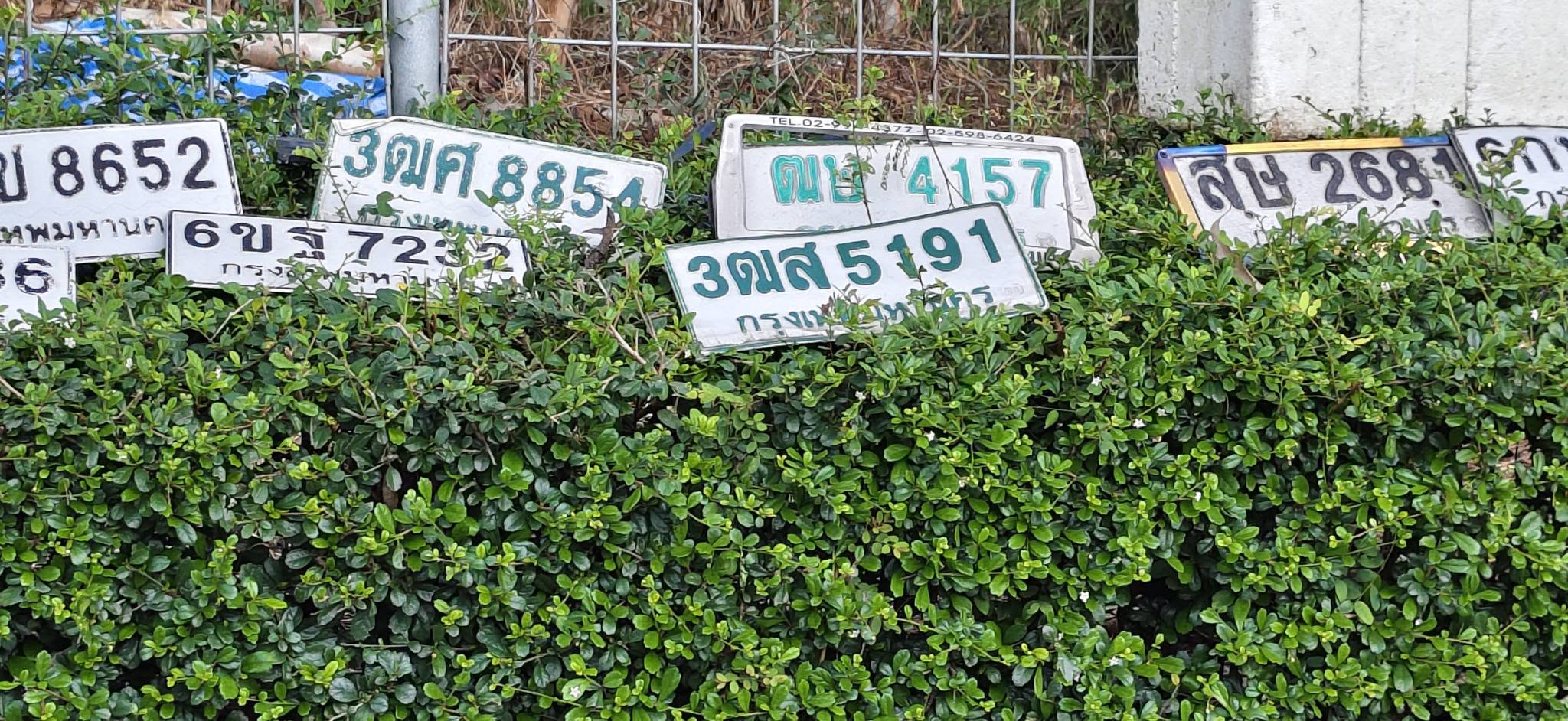 ภาพขยายป้าย ฒษ 4157 ในรูปกองป้าย