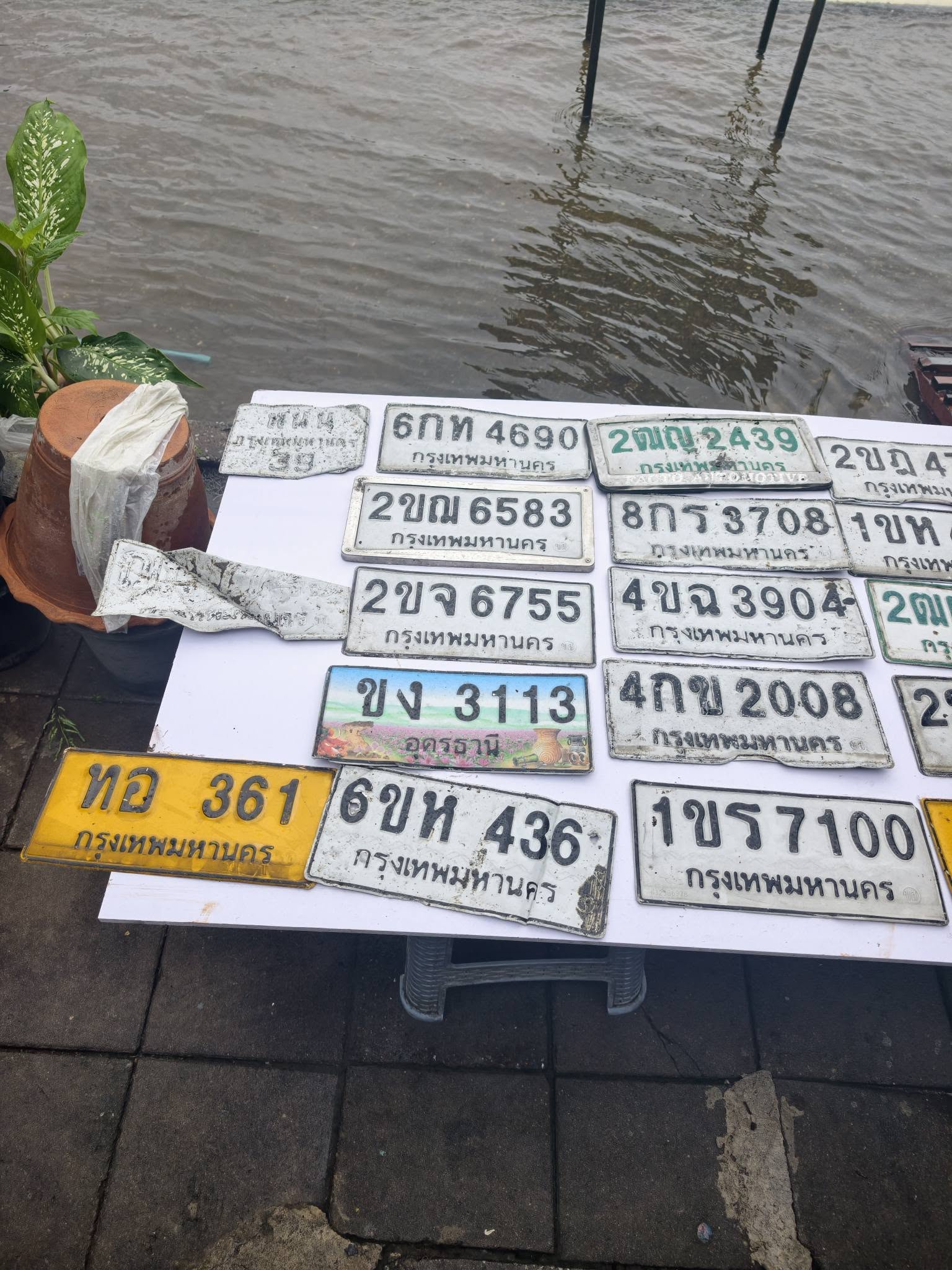 ภาพขยายป้าย 4ขฉ 3904 ในรูปกองป้าย