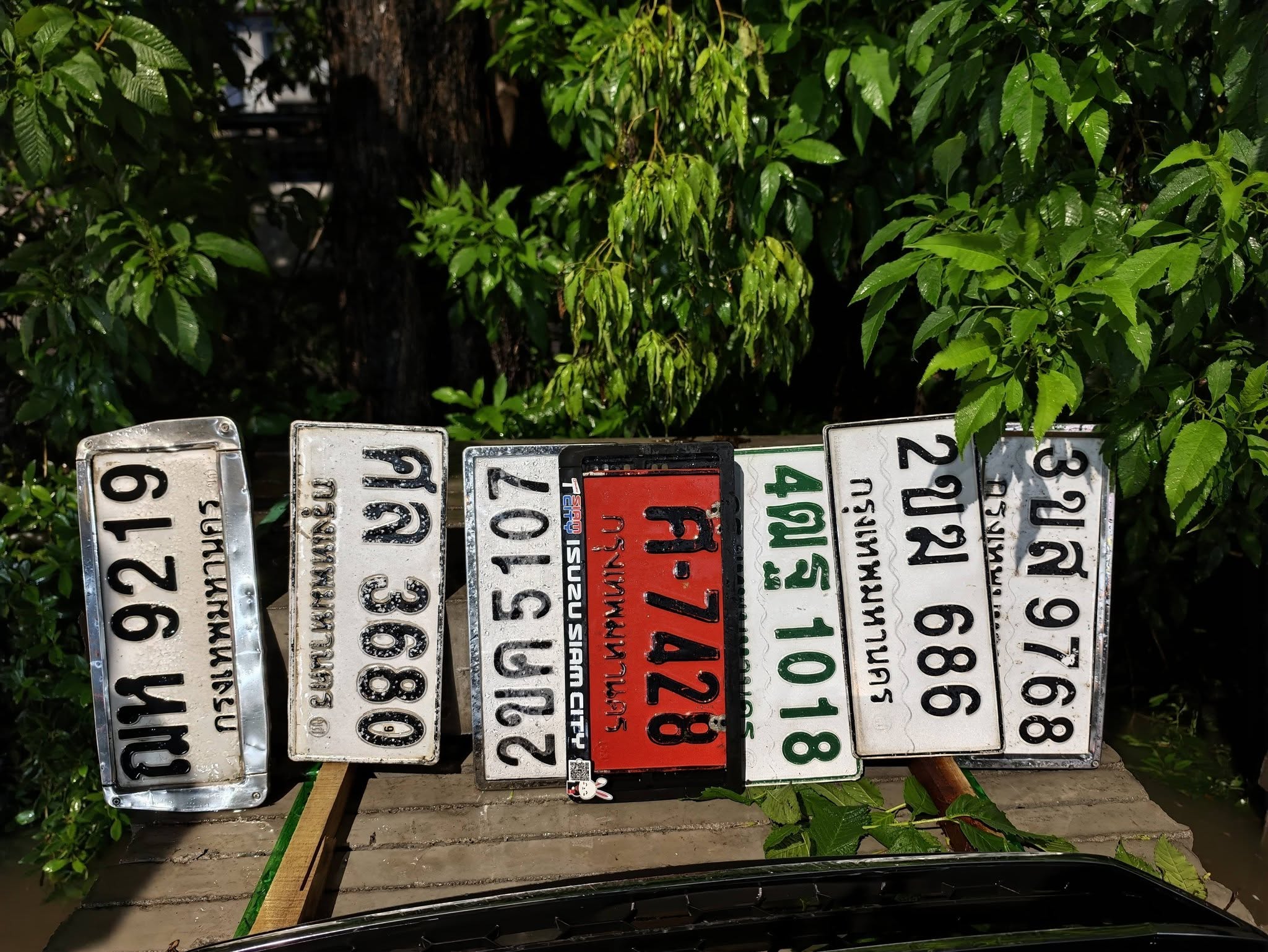 ภาพขยายป้าย ?ท 9219 ในรูปกองป้าย
